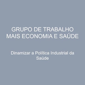 Grupo de Trabalho Mais Economia e Saúde